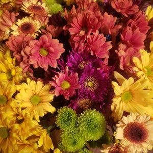 Meet your Posher, Tara